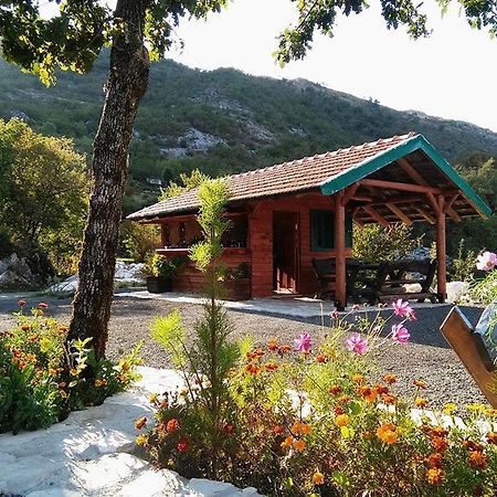 Hotel Camp Oaza,Lipa Cetinje Exterior foto