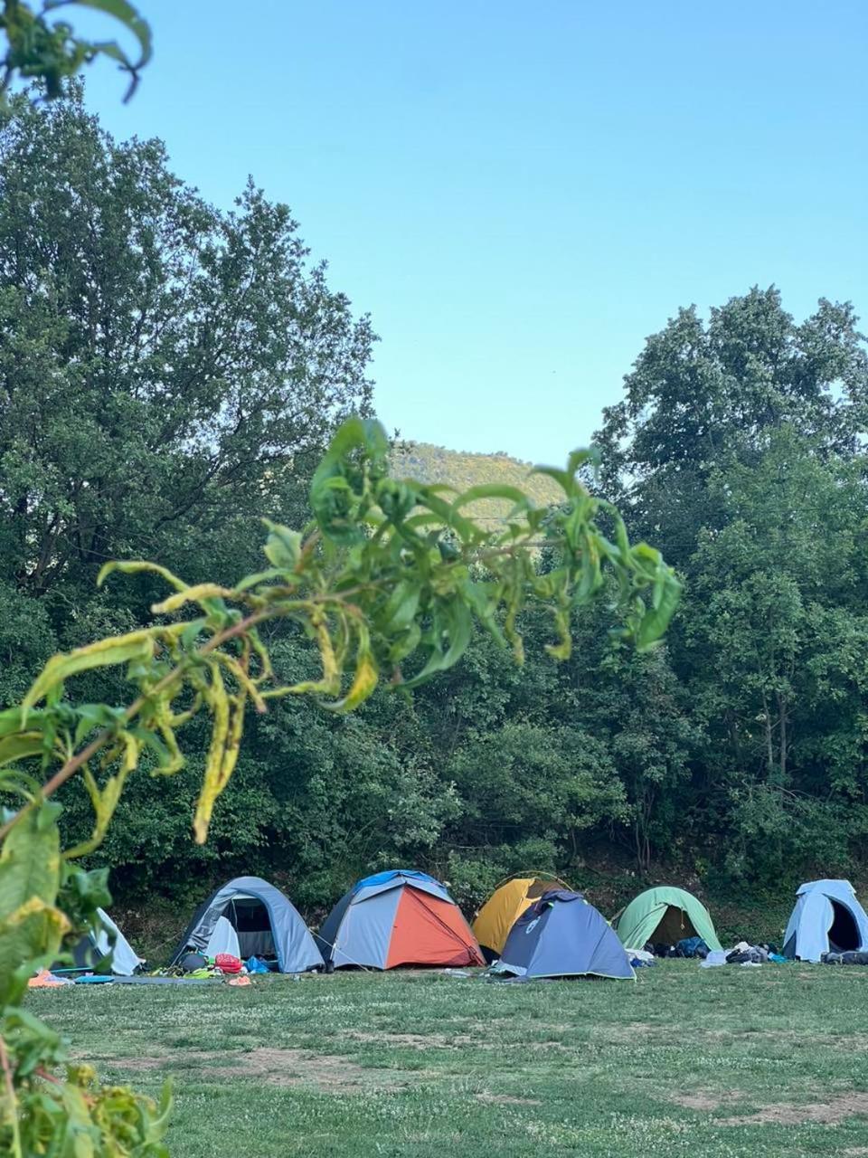 Hotel Camp Oaza,Lipa Cetinje Zimmer foto